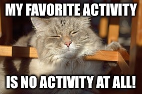 MY FAVORITE ACTIVITY; IS NO ACTIVITY AT ALL! | image tagged in adhdmeme | made w/ Imgflip meme maker