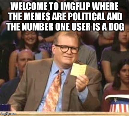 Drew Carey |  WELCOME TO IMGFLIP WHERE THE MEMES ARE POLITICAL AND THE NUMBER ONE USER IS A DOG | image tagged in drew carey | made w/ Imgflip meme maker