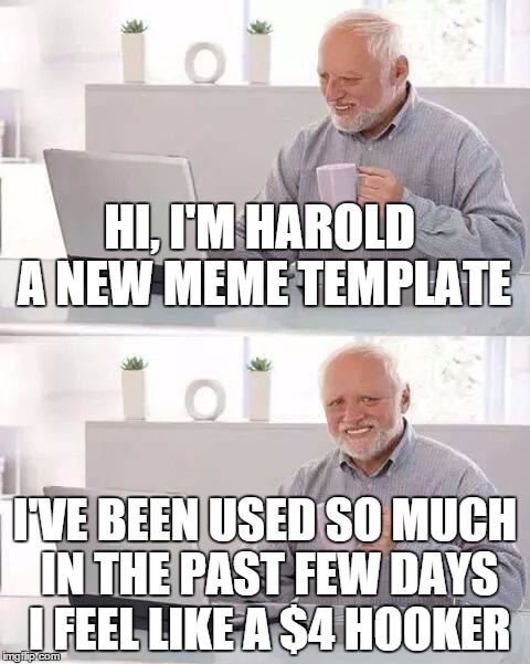 Hi | HI, I'M HAROLD A NEW MEME TEMPLATE; I'VE BEEN USED SO MUCH IN THE PAST FEW DAYS I FEEL LIKE A $4 HOOKER | image tagged in memes,hide the pain harold | made w/ Imgflip meme maker