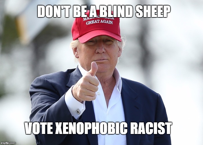VOTE XENOPHOBIC RACIST DON'T BE A BLIND SHEEP | made w/ Imgflip meme maker