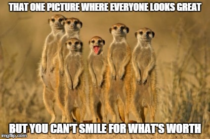 THAT ONE PICTURE WHERE EVERYONE LOOKS GREAT; BUT YOU CAN'T SMILE FOR WHAT'S WORTH | image tagged in meerkats | made w/ Imgflip meme maker