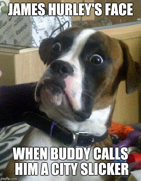 Surprised Dog | JAMES HURLEY'S FACE; WHEN BUDDY CALLS HIM A CITY SLICKER | image tagged in surprised dog | made w/ Imgflip meme maker