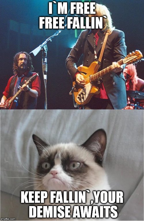 demises=party time for grumpy cat | I`M FREE FREE FALLIN`; KEEP FALLIN`,YOUR DEMISE AWAITS | image tagged in free fallin' grumpy cat | made w/ Imgflip meme maker