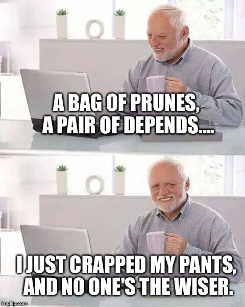First Idea That Popped Into My Head.. | A BAG OF PRUNES, A PAIR OF DEPENDS.... I JUST CRAPPED MY PANTS, AND NO ONE'S THE WISER. | image tagged in memes,hide the pain harold | made w/ Imgflip meme maker