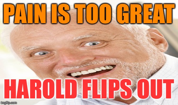 PAIN IS TOO GREAT HAROLD FLIPS OUT | made w/ Imgflip meme maker