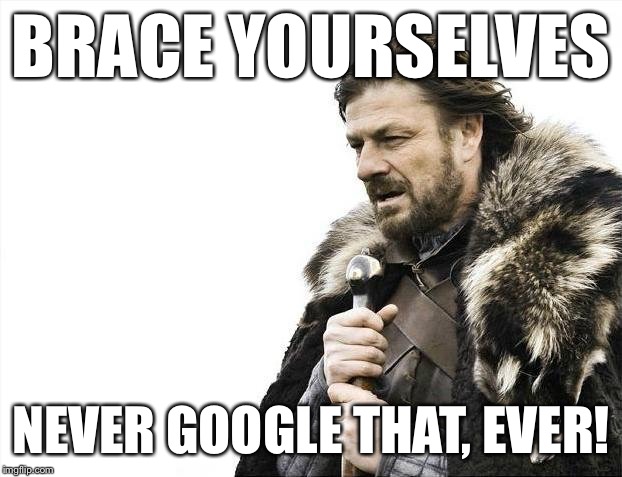 Brace Yourselves X is Coming Meme | BRACE YOURSELVES NEVER GOOGLE THAT, EVER! | image tagged in memes,brace yourselves x is coming | made w/ Imgflip meme maker