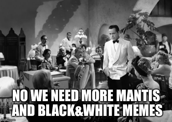 Casablanca Mantis | NO WE NEED MORE MANTIS AND BLACK&WHITE MEMES | image tagged in casablanca mantis | made w/ Imgflip meme maker