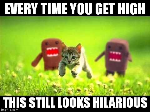 Suddenly I have a craving for ice cream bars... | EVERY TIME YOU GET HIGH; THIS STILL LOOKS HILARIOUS | image tagged in memes,domokun,chasing,420,stoner | made w/ Imgflip meme maker