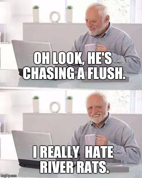 Hide the Pain Harold Meme | OH LOOK, HE'S CHASING A FLUSH. I REALLY  HATE RIVER RATS. | image tagged in memes,hide the pain harold | made w/ Imgflip meme maker