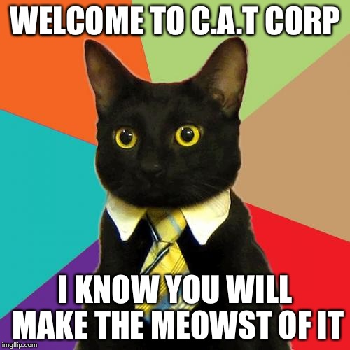 Business Cat | WELCOME TO C.A.T CORP; I KNOW YOU WILL MAKE THE MEOWST OF IT | image tagged in memes,business cat | made w/ Imgflip meme maker