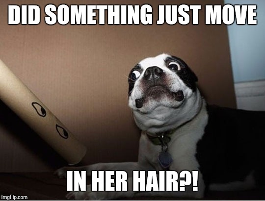 DID SOMETHING JUST MOVE IN HER HAIR?! | made w/ Imgflip meme maker