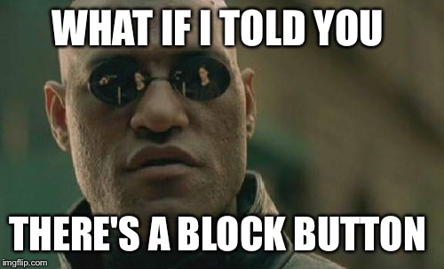Matrix Morpheus Meme | WHAT IF I TOLD YOU; THERE'S A BLOCK BUTTON | image tagged in memes,matrix morpheus | made w/ Imgflip meme maker