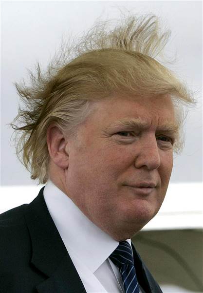 Trump's Hair Blank Meme Template