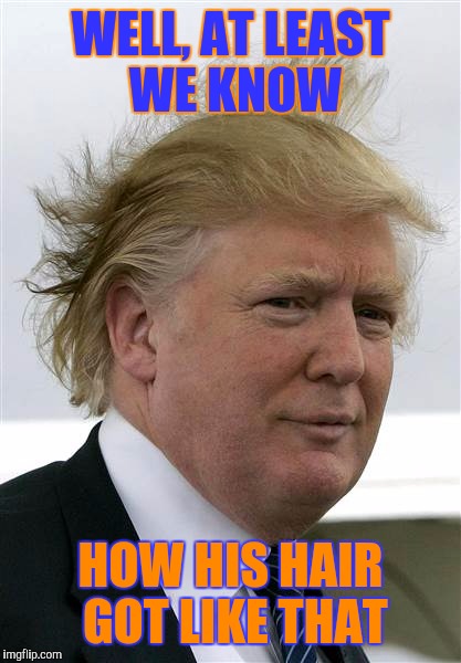Trump's Hair | WELL, AT LEAST WE KNOW; HOW HIS HAIR GOT LIKE THAT | image tagged in trump's hair | made w/ Imgflip meme maker