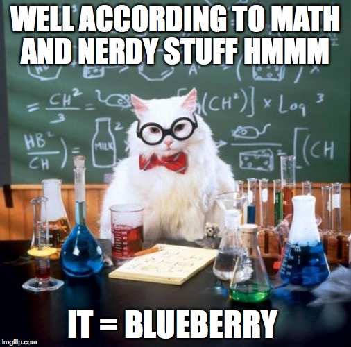 Chemistry Cat | WELL ACCORDING TO MATH AND NERDY STUFF HMMM; IT = BLUEBERRY | image tagged in memes,chemistry cat | made w/ Imgflip meme maker