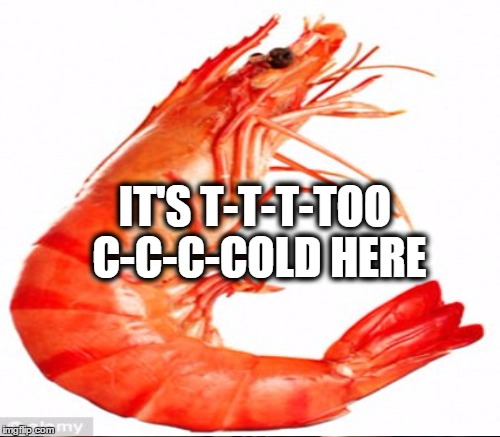 IT'S T-T-T-TOO C-C-C-COLD HERE | made w/ Imgflip meme maker