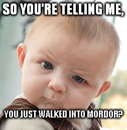 Skeptical Baby Meme | SO YOU'RE TELLING ME, YOU JUST WALKED INTO MORDOR? | image tagged in memes,skeptical baby | made w/ Imgflip meme maker