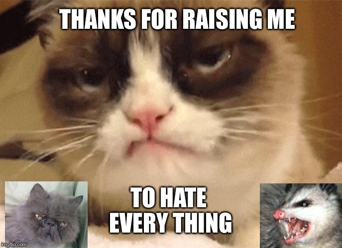 DISAPPROVING GRUMPY CAT | THANKS FOR RAISING ME; TO HATE EVERY THING | image tagged in disapproving grumpy cat | made w/ Imgflip meme maker