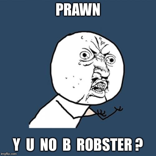 Y U No Meme | PRAWN Y  U  NO  B  ROBSTER ? | image tagged in memes,y u no | made w/ Imgflip meme maker