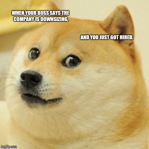 Doge | WHEN YOUR BOSS SAYS THE COMPANY IS DOWNSIZING, AND YOU JUST GOT HIRED. | image tagged in memes,doge | made w/ Imgflip meme maker