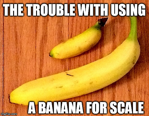 Banana for scale | THE TROUBLE WITH USING; A BANANA FOR SCALE | image tagged in imgur | made w/ Imgflip meme maker