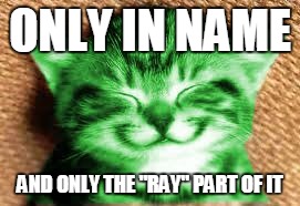 happy RayCat | ONLY IN NAME AND ONLY THE "RAY" PART OF IT | image tagged in happy raycat | made w/ Imgflip meme maker