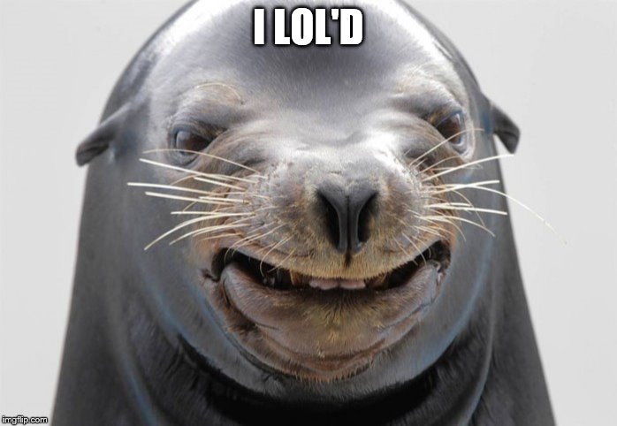 happy seal | I LOL'D | image tagged in happy seal | made w/ Imgflip meme maker