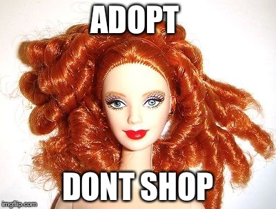 ADOPT; DONT SHOP | image tagged in adopt don't shop | made w/ Imgflip meme maker