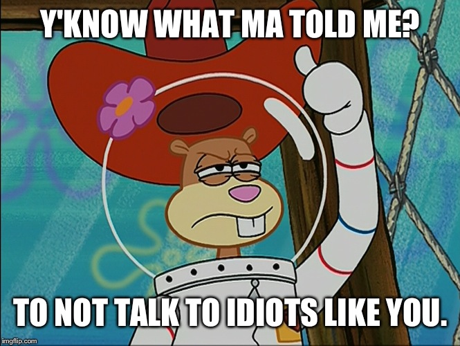 Ma Told Me To Not Talk To Idiots | Y'KNOW WHAT MA TOLD ME? TO NOT TALK TO IDIOTS LIKE YOU. | image tagged in sandy cheeks,memes,spongebob squarepants,insult,sandy cheeks cowboy hat,texas girl | made w/ Imgflip meme maker