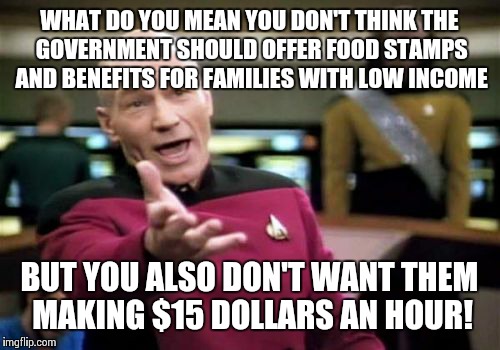 You can't have both.... | WHAT DO YOU MEAN YOU DON'T THINK THE GOVERNMENT SHOULD OFFER FOOD STAMPS AND BENEFITS FOR FAMILIES WITH LOW INCOME; BUT YOU ALSO DON'T WANT THEM MAKING $15 DOLLARS AN HOUR! | image tagged in memes,picard wtf | made w/ Imgflip meme maker