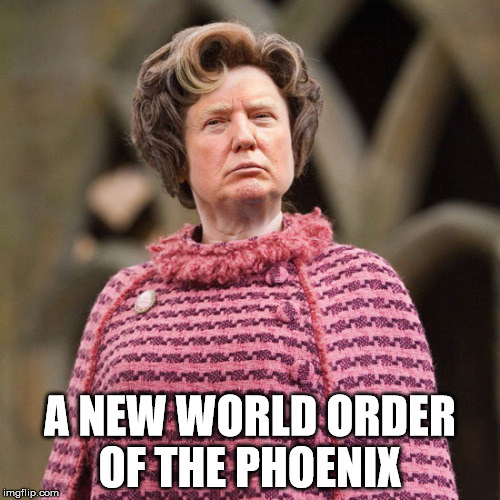Dolores Trumbridge | A NEW WORLD ORDER OF THE PHOENIX | image tagged in trumbridge,potter | made w/ Imgflip meme maker
