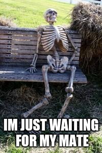 waiting | IM JUST WAITING FOR MY MATE | image tagged in skull,memes,waiting skeleton | made w/ Imgflip meme maker