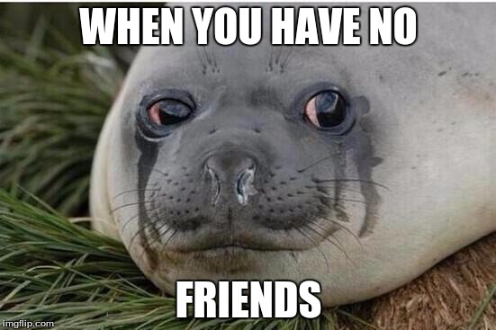 Crying Seal | WHEN YOU HAVE NO; FRIENDS | image tagged in crying seal | made w/ Imgflip meme maker