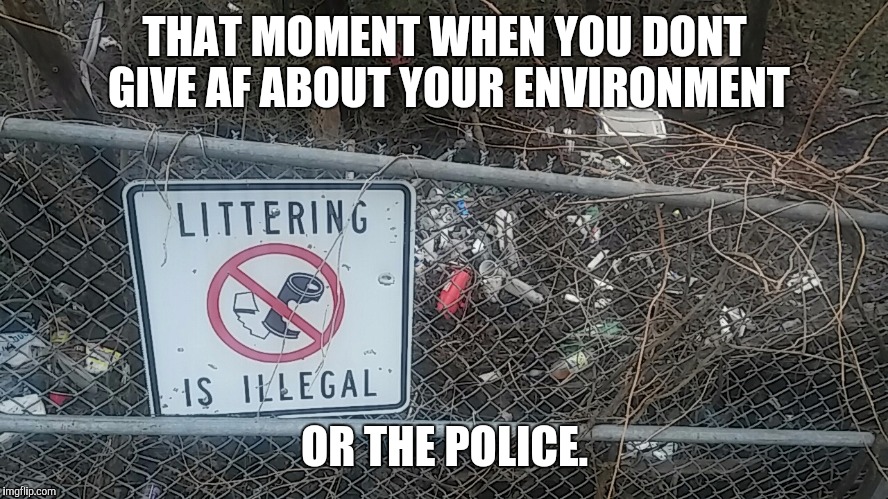 THAT MOMENT WHEN YOU DONT GIVE AF ABOUT YOUR ENVIRONMENT; OR THE POLICE. | image tagged in bruh | made w/ Imgflip meme maker