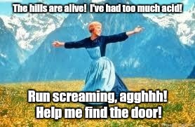 Must be scary up there, all alone, with those flowers talking to ya. | The hills are alive!  I've had too much acid! Run screaming, agghhh! Help me find the door! | image tagged in memes,look at all these,acid,trippin,funny,lsd | made w/ Imgflip meme maker