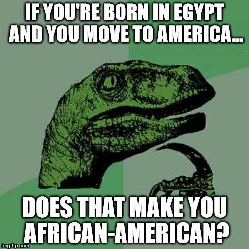 Philosoraptor | IF YOU'RE BORN IN EGYPT AND YOU MOVE TO AMERICA... DOES THAT MAKE YOU AFRICAN-AMERICAN? | image tagged in memes,philosoraptor | made w/ Imgflip meme maker