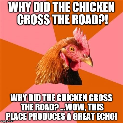 Anti Joke Chicken Meme | WHY DID THE CHICKEN CROSS THE ROAD?! WHY DID THE CHICKEN CROSS THE ROAD? ...WOW, THIS PLACE PRODUCES A GREAT ECHO! | image tagged in memes,anti joke chicken | made w/ Imgflip meme maker