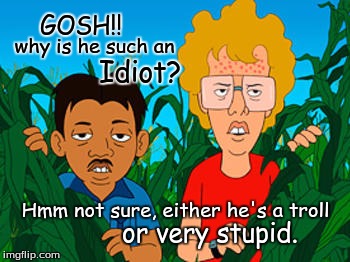 Idiot troll | GOSH!! why is he such an; Idiot? Hmm not sure, either he's a troll; or very stupid. | image tagged in troll,trolling | made w/ Imgflip meme maker