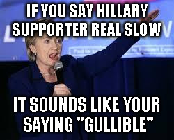 Hillary Clinton Heiling | IF YOU SAY HILLARY SUPPORTER REAL SLOW; IT SOUNDS LIKE YOUR SAYING "GULLIBLE" | image tagged in hillary clinton heiling | made w/ Imgflip meme maker