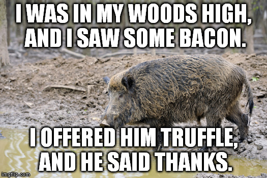 Then we spoke about seasons. | I WAS IN MY WOODS HIGH, AND I SAW SOME BACON. I OFFERED HIM TRUFFLE,  AND HE SAID THANKS. | image tagged in happy as a pig in mud,food,pig,bacon,hunting,memes | made w/ Imgflip meme maker