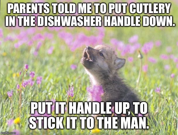 Baby Insanity Wolf | PARENTS TOLD ME TO PUT CUTLERY IN THE DISHWASHER HANDLE DOWN. PUT IT HANDLE UP, TO STICK IT TO THE MAN. | image tagged in memes,baby insanity wolf | made w/ Imgflip meme maker