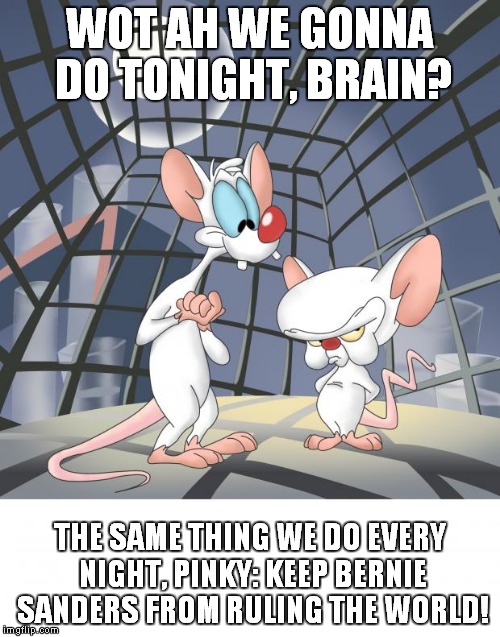 Pinky and the brain | WOT AH WE GONNA DO TONIGHT, BRAIN? THE SAME THING WE DO EVERY NIGHT, PINKY: KEEP BERNIE SANDERS FROM RULING THE WORLD! | image tagged in pinky and the brain | made w/ Imgflip meme maker