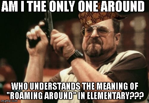 Am I The Only One Around Here Meme | AM I THE ONLY ONE AROUND; WHO UNDERSTANDS THE MEANING OF "ROAMING AROUND" IN ELEMENTARY??? | image tagged in memes,am i the only one around here,scumbag | made w/ Imgflip meme maker