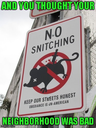 There's something to be said for a neighborhood with integrity I guess. | AND YOU THOUGHT YOUR; NEIGHBORHOOD WAS BAD | image tagged in no rats allowed,funny street signs,funny signs,memes,funny,signs | made w/ Imgflip meme maker