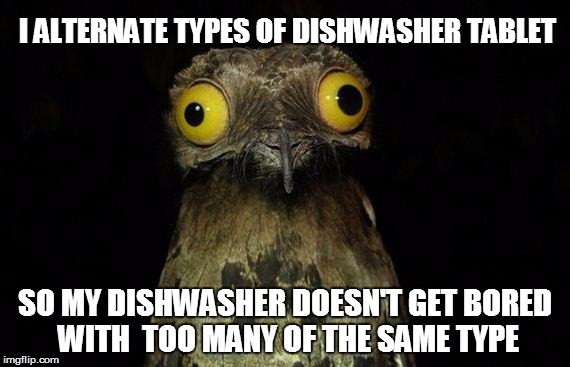 Weird Stuff I Do Potoo Meme | I ALTERNATE TYPES OF DISHWASHER TABLET; SO MY DISHWASHER DOESN'T GET BORED WITH  TOO MANY OF THE SAME TYPE | image tagged in memes,weird stuff i do potoo,AdviceAnimals | made w/ Imgflip meme maker