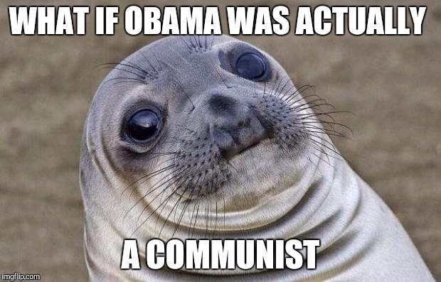 Awkward Moment Sealion | WHAT IF OBAMA WAS ACTUALLY; A COMMUNIST | image tagged in memes,awkward moment sealion | made w/ Imgflip meme maker