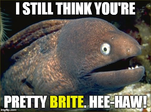 I STILL THINK YOU'RE PRETTY BRITE. HEE-HAW! BRITE | made w/ Imgflip meme maker