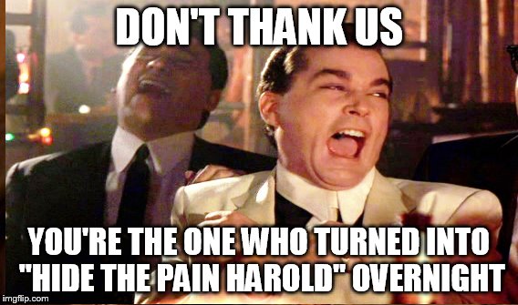 DON'T THANK US YOU'RE THE ONE WHO TURNED INTO "HIDE THE PAIN HAROLD" OVERNIGHT | made w/ Imgflip meme maker