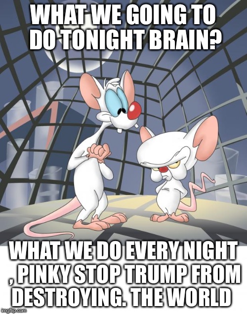 Pinky and the brain | WHAT WE GOING TO DO TONIGHT BRAIN? WHAT WE DO EVERY NIGHT , PINKY STOP TRUMP FROM DESTROYING. THE WORLD | image tagged in pinky and the brain | made w/ Imgflip meme maker