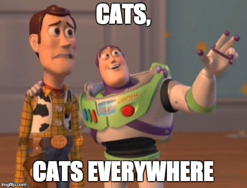 X, X Everywhere Meme | CATS, CATS EVERYWHERE | image tagged in memes,x x everywhere | made w/ Imgflip meme maker